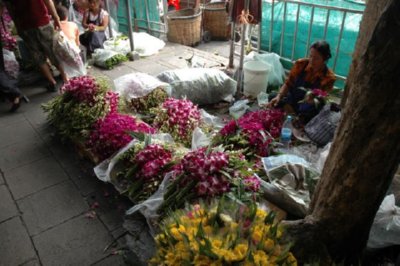 COMERCIO - FLORES (3)
